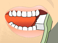 Animated smile with toothbrush at 45 degree angle