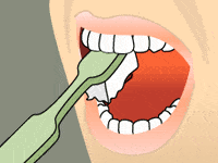 Aniamted smile with toothbrush brushing the inner surfaces of teeth