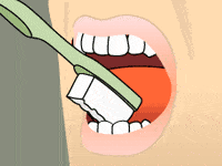 Animated smile with tip of toothbrush cleaning the inner front teeth