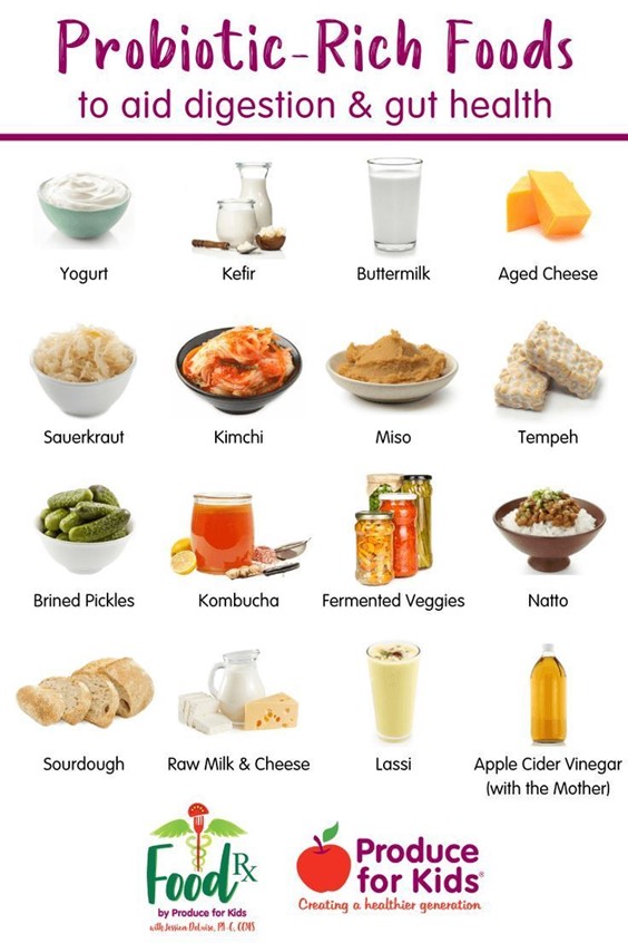 informational table showing lots of foods with probiotics